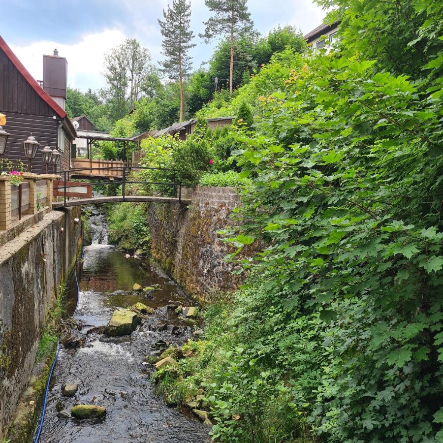 Harz Im Herzen Altenau  Exterior foto
